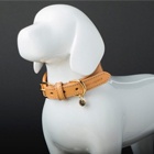 Collar & Leashes