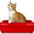 Cat-Litter-Attractant-6.jpg