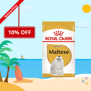 Royal Canin Breed nutrition for maltese